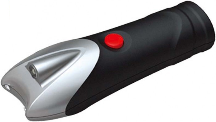 Купить стильный электрошокер