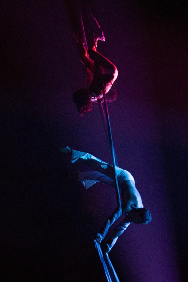 В Луганске прошел Международный фестиваль под названием «Цирковое будущее»