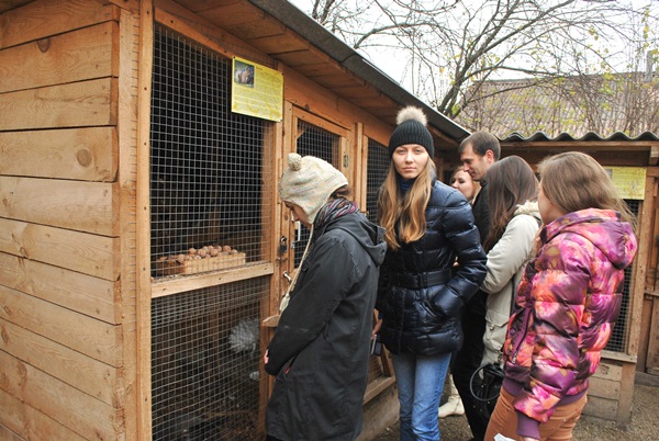 Лес? И это прекрасно