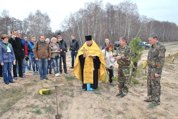 Лес? И это прекрасно