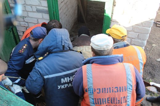 На Луганщине 15 спасателей боролись за жизнь… коровы