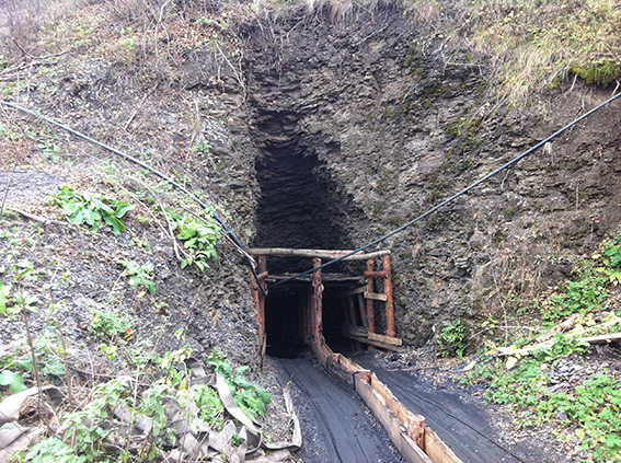 В Луганской области правоохранители ведут борьбу с копанки