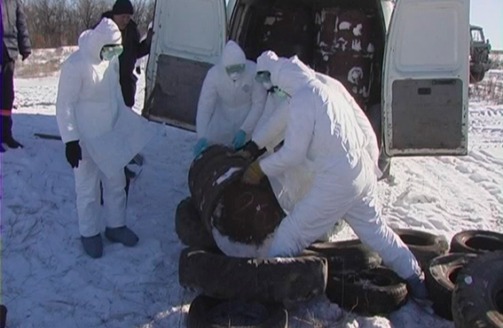 В селе Давыдо-Никольское Краснодонского района сожгли 127 свиней