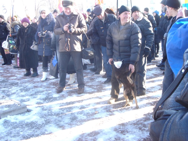 Луганские активисты выступили против принятых законов «Олийныка-Колесниченко»